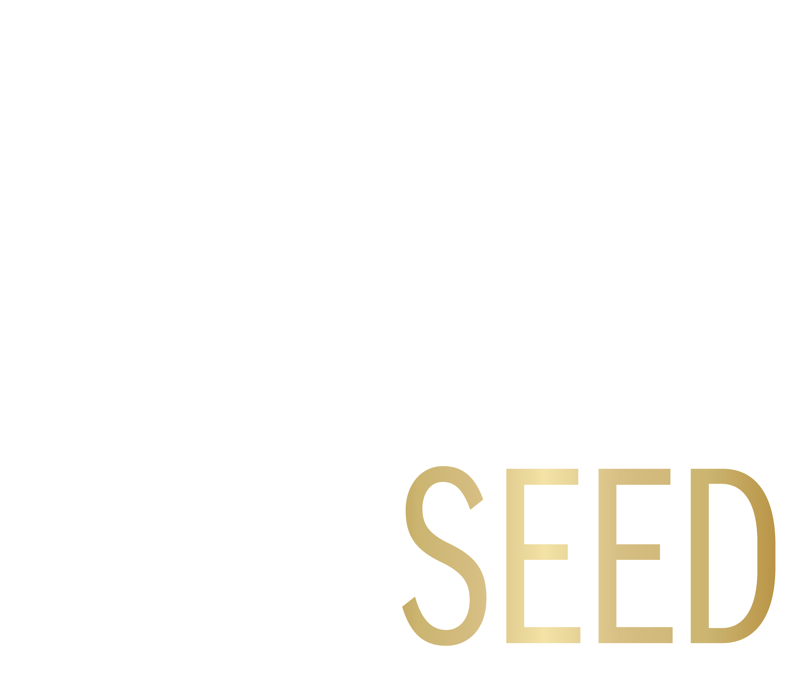 Soul Seed